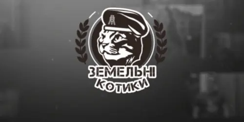 kotiki.webp